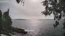 ./images/koeye/fitz-hugh/20260511/fitz-hugh20260511_165501M.jpg