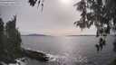 ./images/koeye/fitz-hugh/20260511/fitz-hugh20260511_171501M.jpg