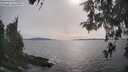 ./images/koeye/fitz-hugh/20260511/fitz-hugh20260511_172501M.jpg
