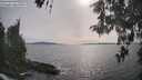 ./images/koeye/fitz-hugh/20260511/fitz-hugh20260511_173001M.jpg