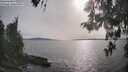 ./images/koeye/fitz-hugh/20260511/fitz-hugh20260511_175001M.jpg