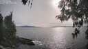 ./images/koeye/fitz-hugh/20260511/fitz-hugh20260511_175501M.jpg