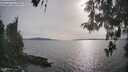 ./images/koeye/fitz-hugh/20260511/fitz-hugh20260511_180001M.jpg