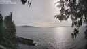 ./images/koeye/fitz-hugh/20260511/fitz-hugh20260511_180501M.jpg