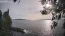 ./images/koeye/fitz-hugh/20260511/fitz-hugh20260511_183501M.jpg