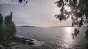 ./images/koeye/fitz-hugh/20260511/fitz-hugh20260511_185501M.jpg