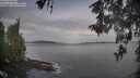 ./images/koeye/fitz-hugh/20260512/fitz-hugh20260512_065001M.jpg