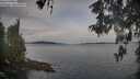 ./images/koeye/fitz-hugh/20260512/fitz-hugh20260512_070002M.jpg