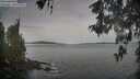 ./images/koeye/fitz-hugh/20260512/fitz-hugh20260512_074001M.jpg