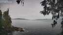 ./images/koeye/fitz-hugh/20260512/fitz-hugh20260512_075502M.jpg