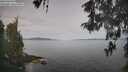 ./images/koeye/fitz-hugh/20260512/fitz-hugh20260512_082501M.jpg