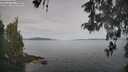 ./images/koeye/fitz-hugh/20260512/fitz-hugh20260512_083001M.jpg