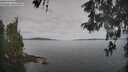 ./images/koeye/fitz-hugh/20260512/fitz-hugh20260512_084501M.jpg