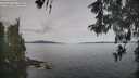 ./images/koeye/fitz-hugh/20260512/fitz-hugh20260512_093501M.jpg
