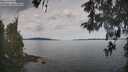 ./images/koeye/fitz-hugh/20260512/fitz-hugh20260512_095001M.jpg