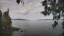 ./images/koeye/fitz-hugh/20260512/fitz-hugh20260512_095502M.jpg