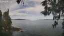 ./images/koeye/fitz-hugh/20260512/fitz-hugh20260512_112501M.jpg