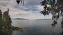 ./images/koeye/fitz-hugh/20260512/fitz-hugh20260512_113001M.jpg