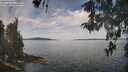 ./images/koeye/fitz-hugh/20260512/fitz-hugh20260512_114501M.jpg