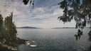 ./images/koeye/fitz-hugh/20260512/fitz-hugh20260512_115001M.jpg