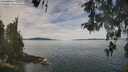 ./images/koeye/fitz-hugh/20260512/fitz-hugh20260512_115501M.jpg