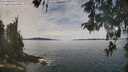 ./images/koeye/fitz-hugh/20260512/fitz-hugh20260512_120501M.jpg