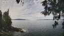 ./images/koeye/fitz-hugh/20260512/fitz-hugh20260512_122002M.jpg
