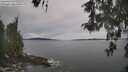 ./images/koeye/fitz-hugh/20260512/fitz-hugh20260512_132502M.jpg