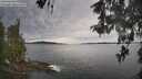 ./images/koeye/fitz-hugh/20260512/fitz-hugh20260512_134501M.jpg