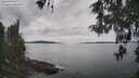 ./images/koeye/fitz-hugh/20260512/fitz-hugh20260512_151502M.jpg