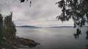 ./images/koeye/fitz-hugh/20260512/fitz-hugh20260512_153001M.jpg