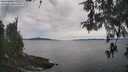 ./images/koeye/fitz-hugh/20260512/fitz-hugh20260512_154501M.jpg