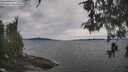 ./images/koeye/fitz-hugh/20260512/fitz-hugh20260512_155502M.jpg