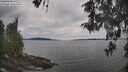 ./images/koeye/fitz-hugh/20260512/fitz-hugh20260512_164001M.jpg