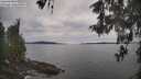 ./images/koeye/fitz-hugh/20260512/fitz-hugh20260512_165001M.jpg
