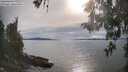 ./images/koeye/fitz-hugh/20260512/fitz-hugh20260512_174001M.jpg