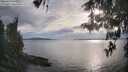 ./images/koeye/fitz-hugh/20260512/fitz-hugh20260512_183501M.jpg