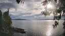 ./images/koeye/fitz-hugh/20260512/fitz-hugh20260512_184502M.jpg
