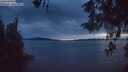 ./images/koeye/fitz-hugh/20260512/fitz-hugh20260512_215501M.jpg