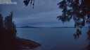 ./images/koeye/fitz-hugh/20260513/fitz-hugh20260513_050501M.jpg