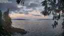 ./images/koeye/fitz-hugh/20260513/fitz-hugh20260513_062501M.jpg