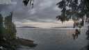 ./images/koeye/fitz-hugh/20260513/fitz-hugh20260513_064001M.jpg