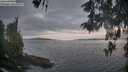 ./images/koeye/fitz-hugh/20260513/fitz-hugh20260513_065001M.jpg