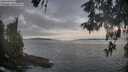 ./images/koeye/fitz-hugh/20260513/fitz-hugh20260513_065501M.jpg