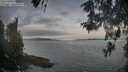 ./images/koeye/fitz-hugh/20260513/fitz-hugh20260513_070001M.jpg
