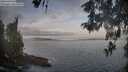 ./images/koeye/fitz-hugh/20260513/fitz-hugh20260513_070501M.jpg