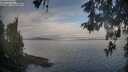 ./images/koeye/fitz-hugh/20260513/fitz-hugh20260513_072502M.jpg