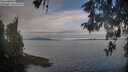 ./images/koeye/fitz-hugh/20260513/fitz-hugh20260513_073501M.jpg