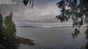 ./images/koeye/fitz-hugh/20260513/fitz-hugh20260513_074001M.jpg