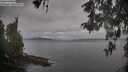 ./images/koeye/fitz-hugh/20260513/fitz-hugh20260513_080001M.jpg